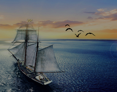 Enterprise spirit